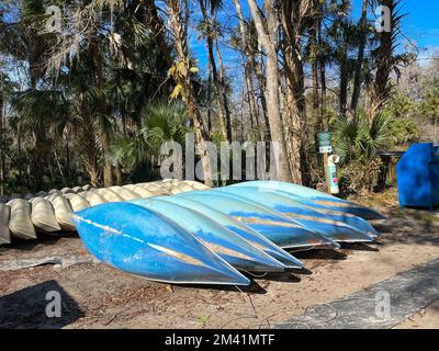 Canoës alignés pour les personnes à louer dans un parc d'état en Floride. Banque D'Images