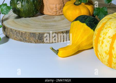 composition de différentes citrouilles décoratives. copier l'espace Banque D'Images