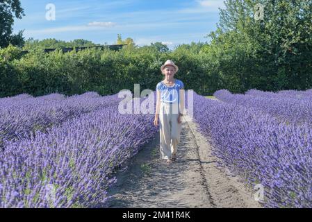 Jeune fille de l'adolescence dans le chapeau sur le champ de lavande. Bonne insouciante femme avec de longs cheveux sains Banque D'Images