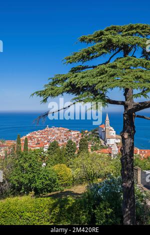 Ville de Piran en Slovénie. Ville côtière médiévale au bord de la mer Adriatique dans la région slovène de l'Istrie. Banque D'Images