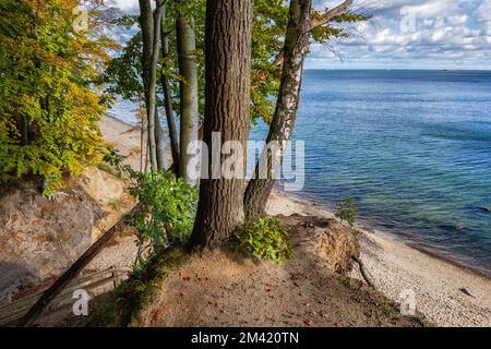 Côte pittoresque de la mer Baltique, rivage avec plage de sable depuis le sommet d'une falaise à Gdynia Redłowo, Pologne. Banque D'Images