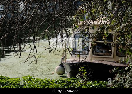 Un bateau amarré presque caché par la végétation environnante, silencieux et toujours sur la rive de la rivière comme s'il attendait à revenir à la vie et à la voile. Banque D'Images
