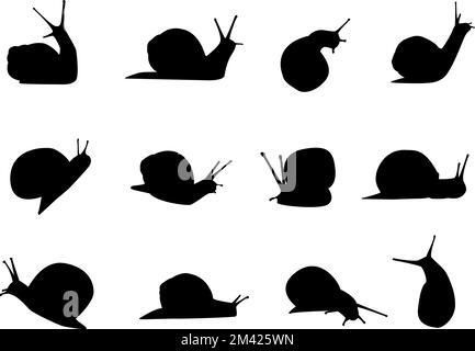 Silhouettes d'escargot vectorielles sur fond blanc isolé. Jeu d'icônes. Illustration de Vecteur