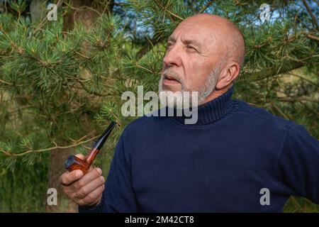 Un homme aux cheveux gris avec une barbe et une pipe à fumer aime la nature regarde dans la distance dans une forêt de conifères. portrait Banque D'Images