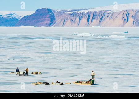 Voyage de traîneau à chiens reposant sur la mer gelée devant les montagnes. Banque D'Images