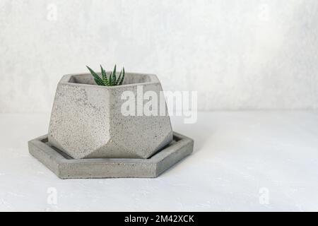 Jardinière en béton avec petite plante succulente Haworthia. Bricolage ciment pentagon fleur pot. Copier l'espace pour le texte. Banque D'Images