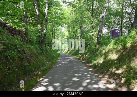 Une petite route de campagne pavée à la lumière du soleil, avec du bois de chauffage à gauche et des toilettes portatives à droite du chemin Banque D'Images