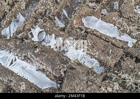 Gros plan d'eau gelée sur les chenilles de gros tracteurs de la ferme. Par temps froid, la vie à la ferme, l'hiver à la ferme, l'eau gelée. Banque D'Images
