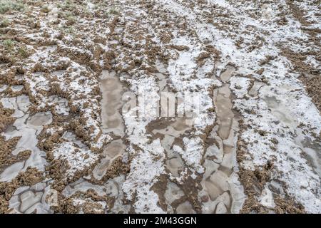 Pneus / chenilles dans un terrain boueux recouvert de gel hivernal. Pour temps froid au Royaume-Uni 2022. Banque D'Images
