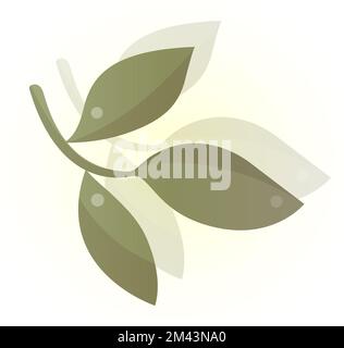 feuilles et germes verts réalistes isolés sur fond blanc. Illustration de la branche de feuilles vertes Banque D'Images