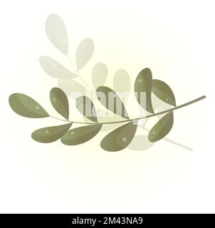 feuilles et germes verts réalistes isolés sur fond blanc. Illustration de la branche de feuilles vertes Banque D'Images