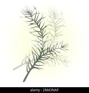 feuilles et germes verts réalistes isolés sur fond blanc. Illustration de la branche de feuilles vertes Banque D'Images