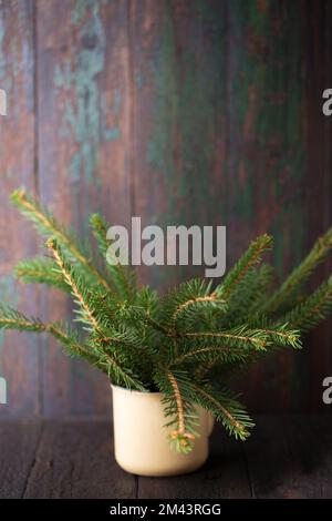 Un bouquet de branches de sapin dans une tasse sur fond de bois Banque D'Images