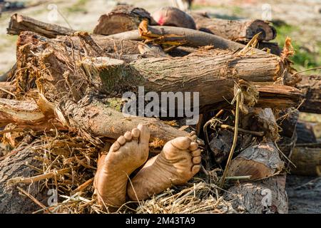 Mettre un corps de mort sur le bois de chauffage sur les rives de la rivière Yamuna dans le cadre d'une cérémonie de crémation Banque D'Images