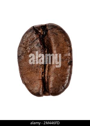 Coffee Bean isolé sur fond blanc Banque D'Images
