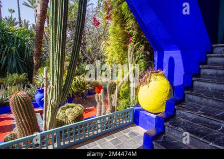 Magnifique mur bleu clair de la villa Majorelle ! et un magnifique jardin de cactus à côté. L'un des propriétaires de la maison dans le passé était le designer de mode d'icône y Banque D'Images