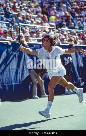 Gabriela Sabatini (ARG) lauréate du Championnat féminin des célibataires à l'USOpen tennis 1990. Banque D'Images