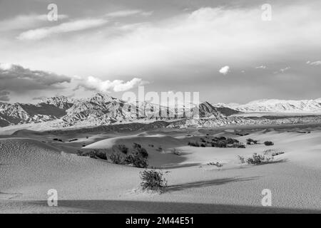 De beaux appartements de Mesquite dans la vallée de la mort désert dans la lumière du coucher du soleil, USA Banque D'Images