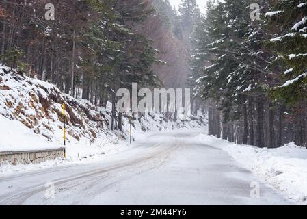 Route alpine enneigée à travers une forêt lors d'une forte chute de neige en hiver. Conditions de conduite dangereuses. Banque D'Images