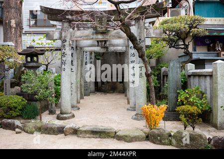 Fukuoka, Japon, 13 novembre 2022. Les portes en pierre se trouvent au sanctuaire de Kushida-jinja Shinto. Banque D'Images