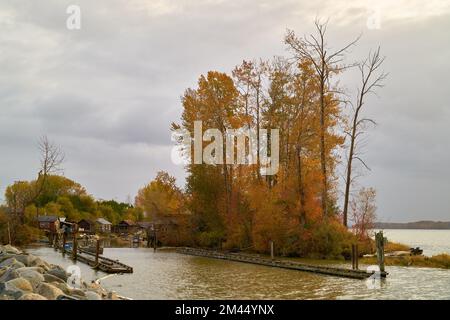 Finn Slough automne Fraser River. Finn Slough à l'automne sur les rives du fleuve Fraser, près de Steveston, à Richmond, en Colombie-Britannique, au Canada. Banque D'Images