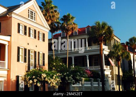 Les majestueuses maisons d'Antebellum, entourées de palmiers et de jardins luxuriants, bordent le front de mer d'East Battery à Charleston, en Caroline du Sud Banque D'Images