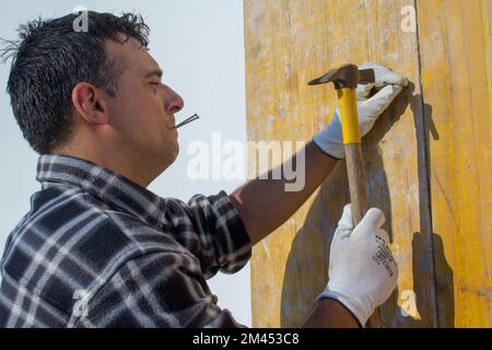 Bricklayer au travail sur un chantier de construction tout en tenant des clous entre ses lèvres et en fixant des planches en bois avec un marteau. Banque D'Images