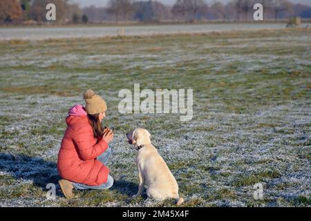 Jeune Labrador jaune retriever assis à côté de sa maîtresse portant un manteau rouge en hiver à l'extérieur Banque D'Images