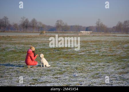 Jeune Labrador jaune retriever assis à côté de sa maîtresse portant un manteau rouge en hiver à l'extérieur Banque D'Images