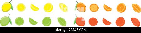 Un ensemble d'agrumes frais sur fond blanc, oranges, citrons, chaux et pamplemousse. Entier, moitié et coupe Illustration de Vecteur