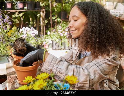 Jardinage, botanique et centre de jardin avec une femme noire au travail avec une plante en pot dans une pépinière comme fleuriste. Petite entreprise, nature et printemps avec un Banque D'Images