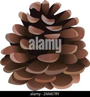 Cône de pin vectoriel isolé sur fond blanc Illustration de Vecteur