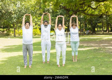 Groupe de personnes âgées indiennes portant une robe blanche faisant de l'exercice d'étirement à l'extérieur au parc d'été. Concept de fitness. Banque D'Images