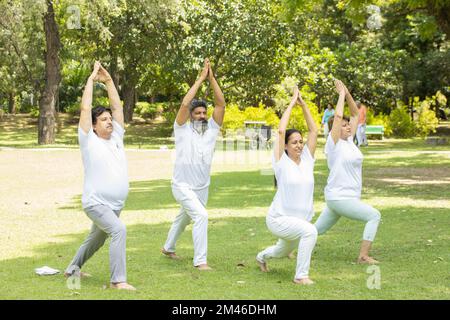 Groupe de personnes âgées indiennes faisant du yoga assis sur l'herbe. Homme mature et femme portant des tissus blancs pratiquant la méditation ensemble en extérieur. Banque D'Images