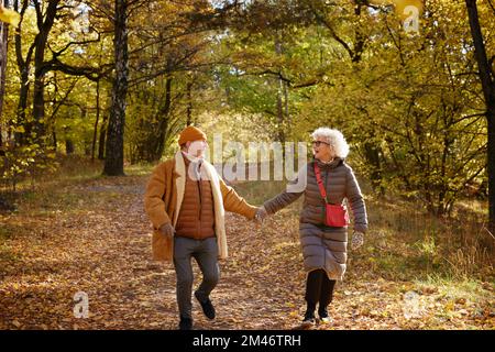 Couple senior marchant dans le parc d'automne Banque D'Images
