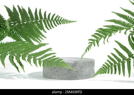 Podium écologique en béton de pierre cylindrique sur fond blanc avec ombres dures et feuilles de fougères tropicales.Nettoyage minimal de présentation de produit cosmétique vide Banque D'Images