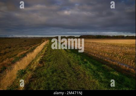 Le sentier de longue distance Wyre Way aux Heads près de Stalmine-with-Staynall dans le Lancashire Banque D'Images