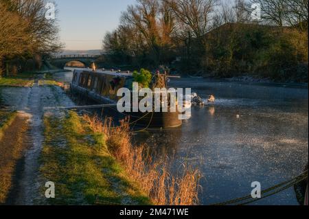 Bateaux étroits sur la branche Glasson du canal de Lancaster près du quai Glasson Banque D'Images