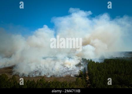 Vue aérienne de la fumée blanche provenant du feu de forêt qui s'élève dans une atmosphère polluante. Concept de catastrophe naturelle Banque D'Images