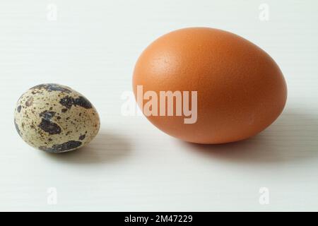 Un œuf de caille et un œuf de poulet côte à côte sur un fond blanc Banque D'Images