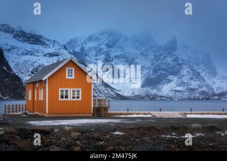 Corbu orange sur la côte de mer et montagne enneigée dans le brouillard Banque D'Images