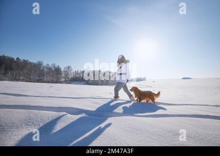 Femme avec chien pendant la journée hivernale glacielle. Le propriétaire d'un animal de compagnie se promènait sur un terrain enneigé avec son fidèle chien de chasse de la Nouvelle-Écosse. Banque D'Images