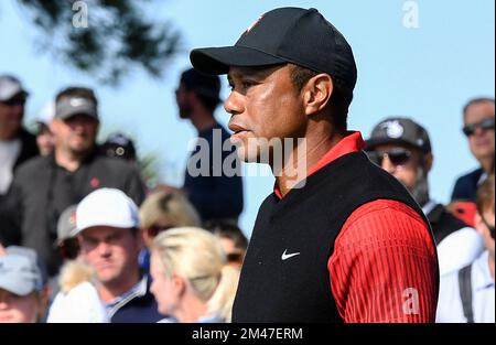 Orlando, États-Unis. 18th décembre 2022. Tiger Woods attend de se pavaner sur le 9th trous lors de la dernière partie du championnat PNC au Ritz-Carlton Golf Club d'Orlando. Crédit : SOPA Images Limited/Alamy Live News Banque D'Images