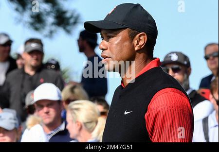 Orlando, États-Unis. 18th décembre 2022. Tiger Woods attend de se pavaner sur le 9th trous lors de la dernière partie du championnat PNC au Ritz-Carlton Golf Club d'Orlando. (Photo de Paul Hennessy/SOPA Images/Sipa USA) crédit: SIPA USA/Alay Live News Banque D'Images