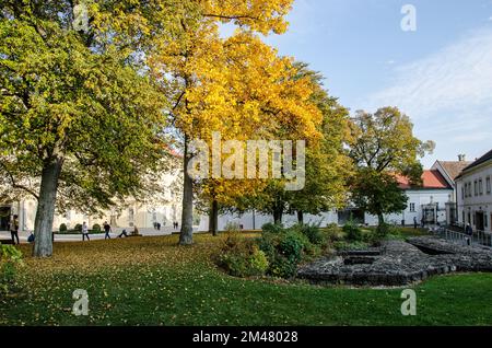 Klosterneuburg. Célèbre pour le monastère avec la vinerie, le palais de l'empereur, l'abbaye et le Trésor. A 15 km du centre de Vienne, c'est vraiment un endroit à visiter Banque D'Images