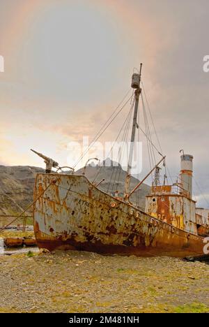 Vestiges de l'ancien navire pétrel à Grytviken, Géorgie du Sud, Antartica Banque D'Images