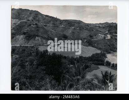 Culture du tabac. Légende originale: Near Jayuya, Porto Rico. Petite ferme de tabac. État: Porto Rico. Banque D'Images