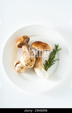 champignons porcini sur une assiette blanche. tournage en studio Banque D'Images