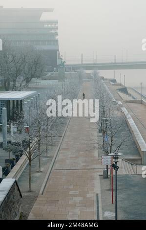 Cologne, Allemagne - 16 décembre 2022: Gelé et brouillard. En ville. Banque D'Images