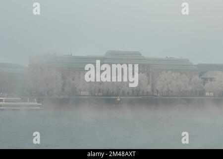Cologne, Allemagne - 16 décembre 2022: Gelé et brouillard. En ville. Banque D'Images